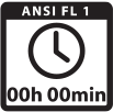 ANSI Run Time Icon